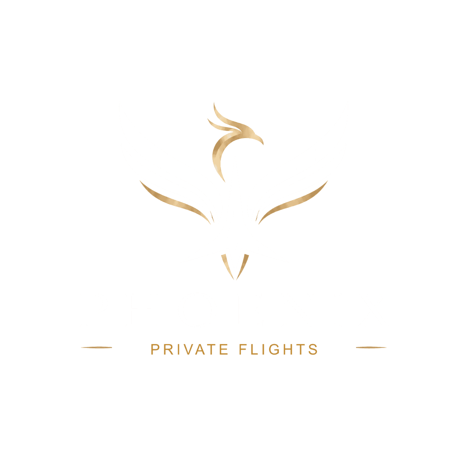 Phoenix Private Flights